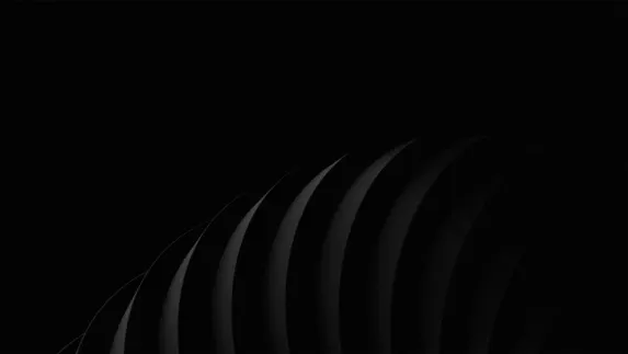 Starda Kasino Sokongan